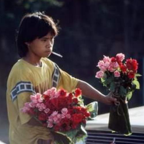 สมาชิกหมายเลข 5890900