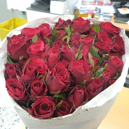 สมาชิกหมายเลข 3179739