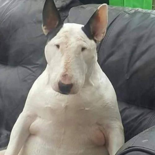 สมาชิกหมายเลข 5584300