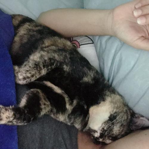 สมาชิกหมายเลข 6490918