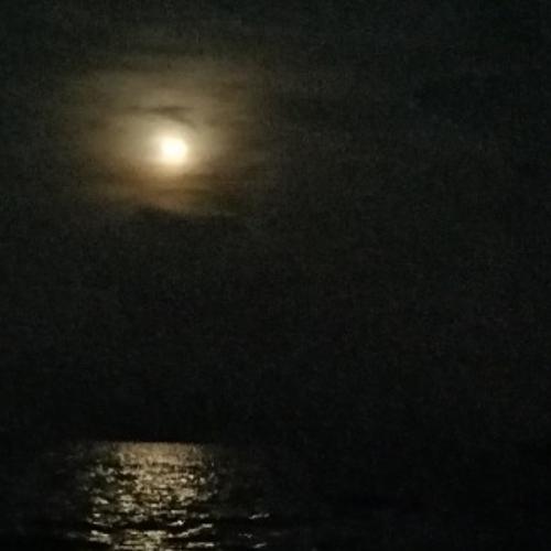 สมาชิกหมายเลข 5537905