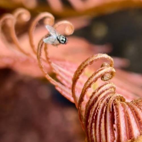 สมาชิกหมายเลข 9033053