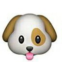 สมาชิกหมายเลข 4247974