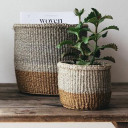 สมาชิกหมายเลข 4636324