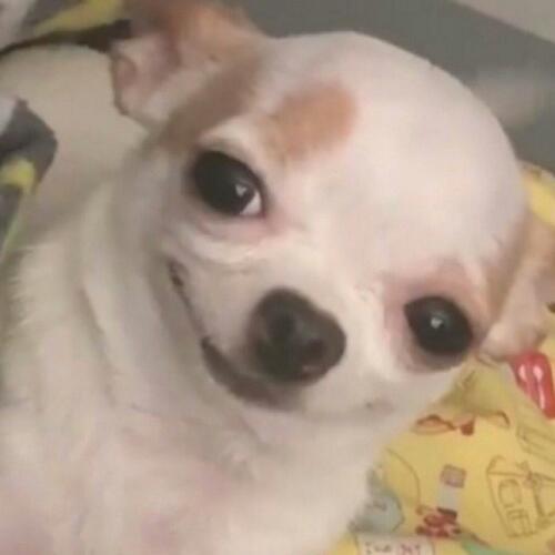 สมาชิกหมายเลข 4890695