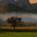 สมาชิกหมายเลข 4985817