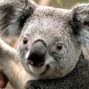 สมาชิกหมายเลข 845560