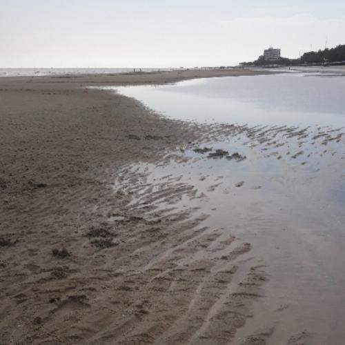 สมาชิกหมายเลข 3763137