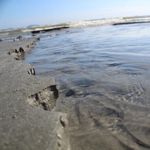 สมาชิกหมายเลข 3900239