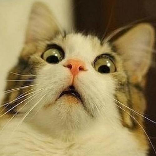 สมาชิกหมายเลข 4329447