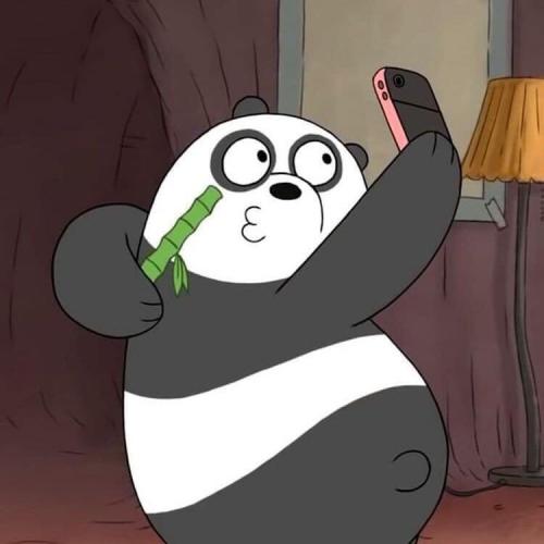 สมาชิกหมายเลข 5361103