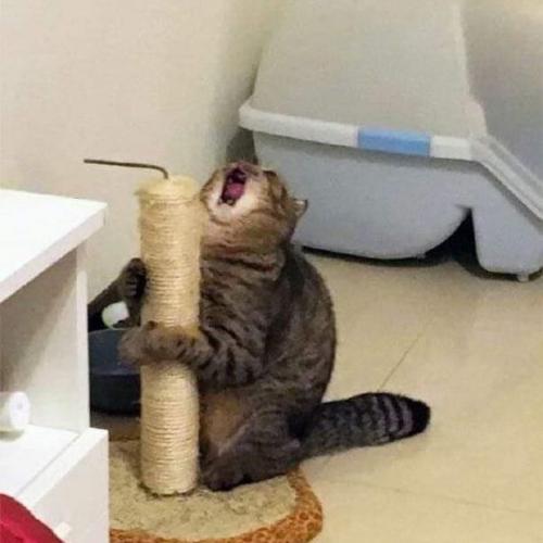 สมาชิกหมายเลข 5390008