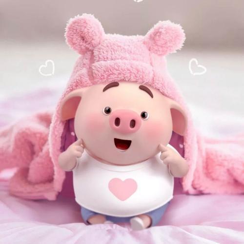 สมาชิกหมายเลข 5390133