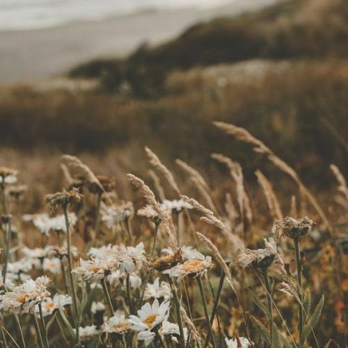 สมาชิกหมายเลข 4319475