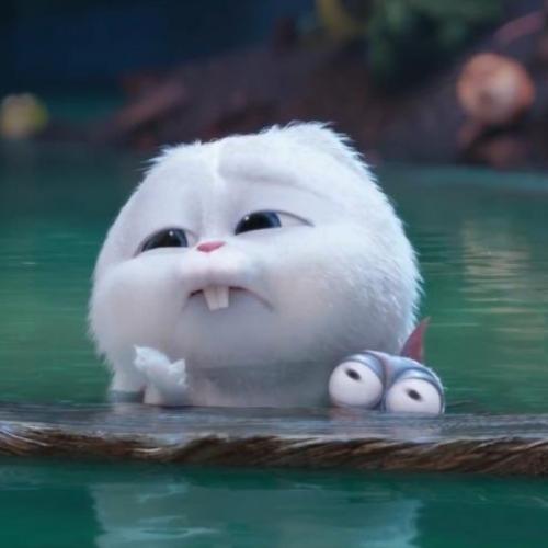 สมาชิกหมายเลข 5891626