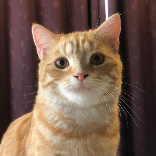 สมาชิกหมายเลข 2564570