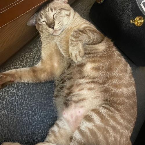 สมาชิกหมายเลข 5397430