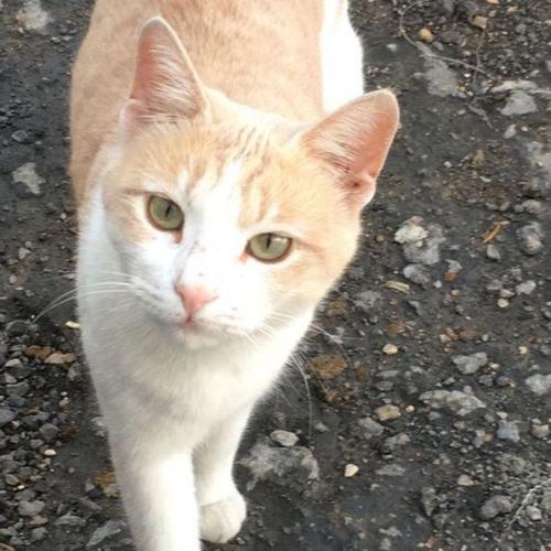 สมาชิกหมายเลข 7200849