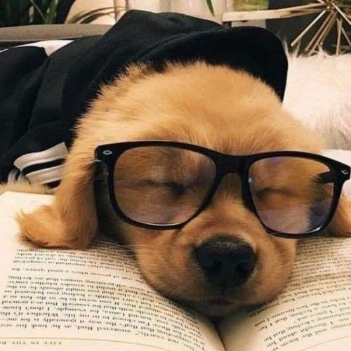 สมาชิกหมายเลข 6766533