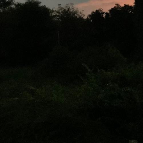 สมาชิกหมายเลข 7897728