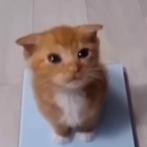 สมาชิกหมายเลข 7616611