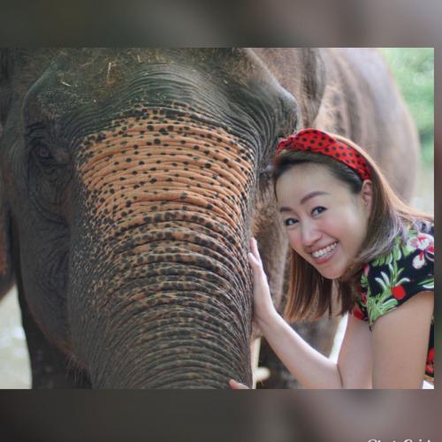 สมาชิกหมายเลข 4637007