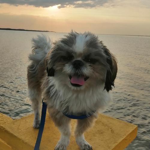 สมาชิกหมายเลข 5806151