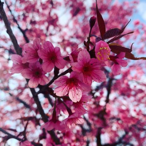 สมาชิกหมายเลข 5891948