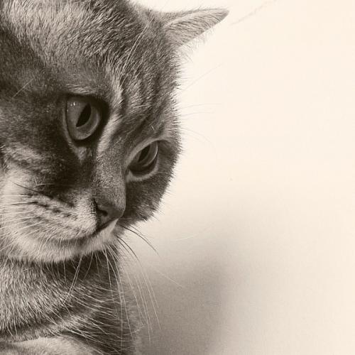 สมาชิกหมายเลข 5892361