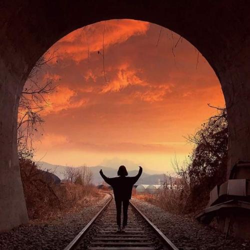 สมาชิกหมายเลข 5892386