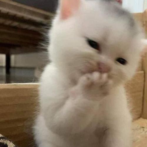 สมาชิกหมายเลข 6492545