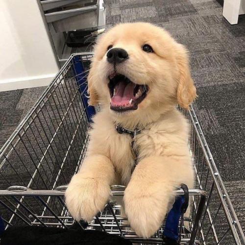 สมาชิกหมายเลข 6492799