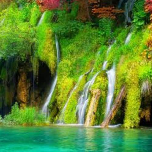 สมาชิกหมายเลข 7194710