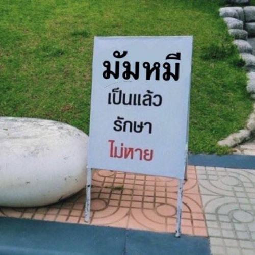 สมาชิกหมายเลข 4797118