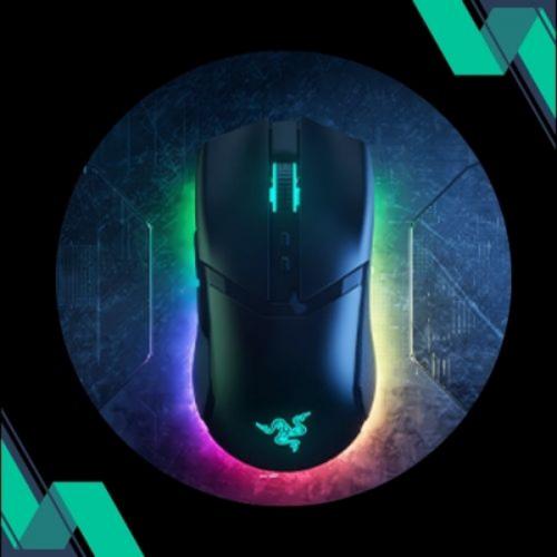 สมาชิกหมายเลข 8007652