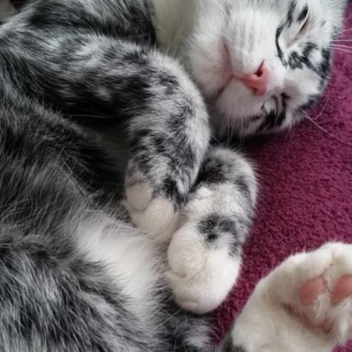 สมาชิกหมายเลข 9034543