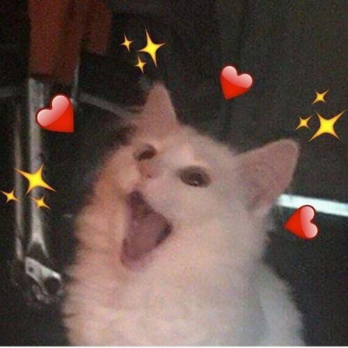 สมาชิกหมายเลข 9034682