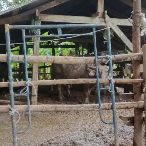 สมาชิกหมายเลข 9034832