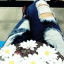 สมาชิกหมายเลข 4250464