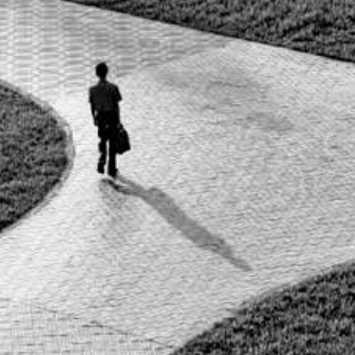 สมาชิกหมายเลข 3222250