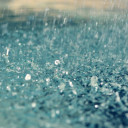 สมาชิกหมายเลข 4637529