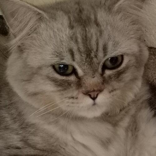 สมาชิกหมายเลข 4996663