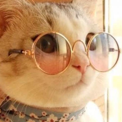 สมาชิกหมายเลข 3309977