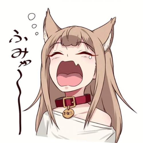 สมาชิกหมายเลข 5892802