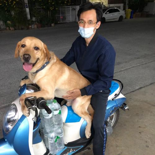 สมาชิกหมายเลข 5390131