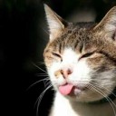 สมาชิกหมายเลข 3786654