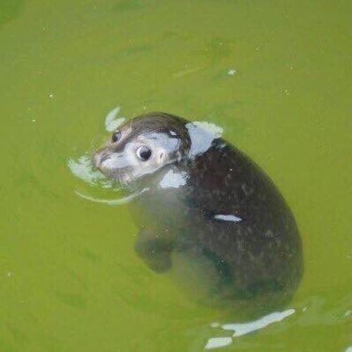 สมาชิกหมายเลข 1905315