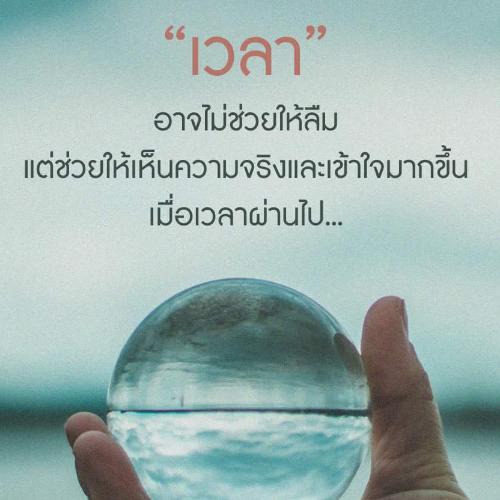 สมาชิกหมายเลข 4637559