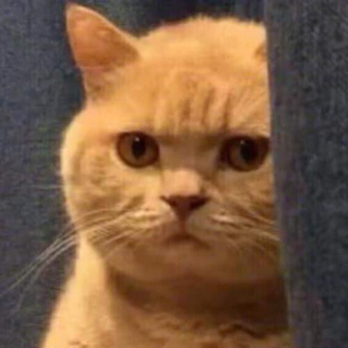 สมาชิกหมายเลข 4637634