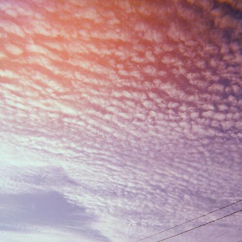 สมาชิกหมายเลข 4997042